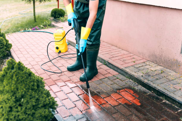 Animal Enclosure Cleaning in Whitemarsh Island, GA